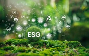 ESG/碳權規劃諮詢